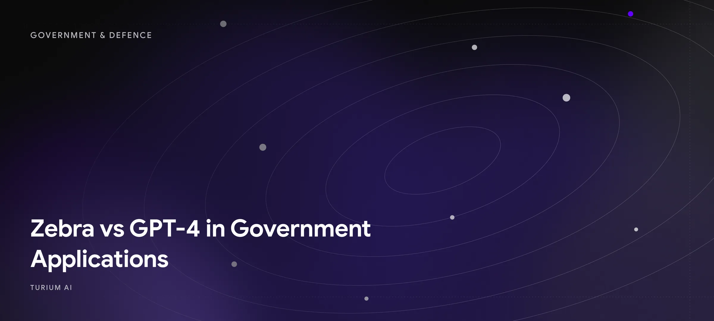 Zebra vs GPT-4 in Government Applications
