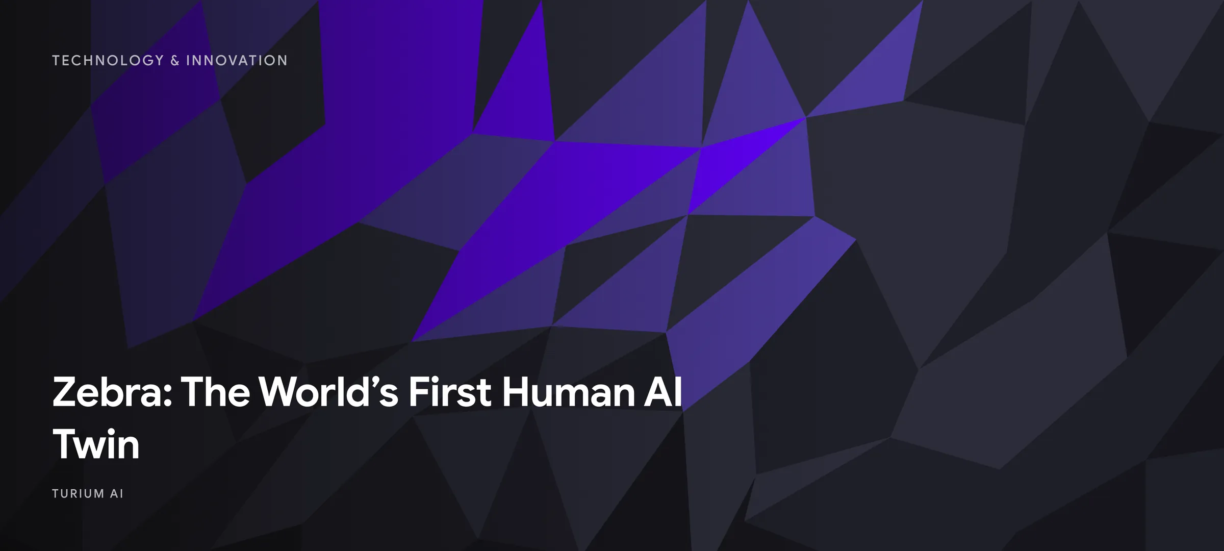 Unveiling Zebra: World's First Human AI Twin